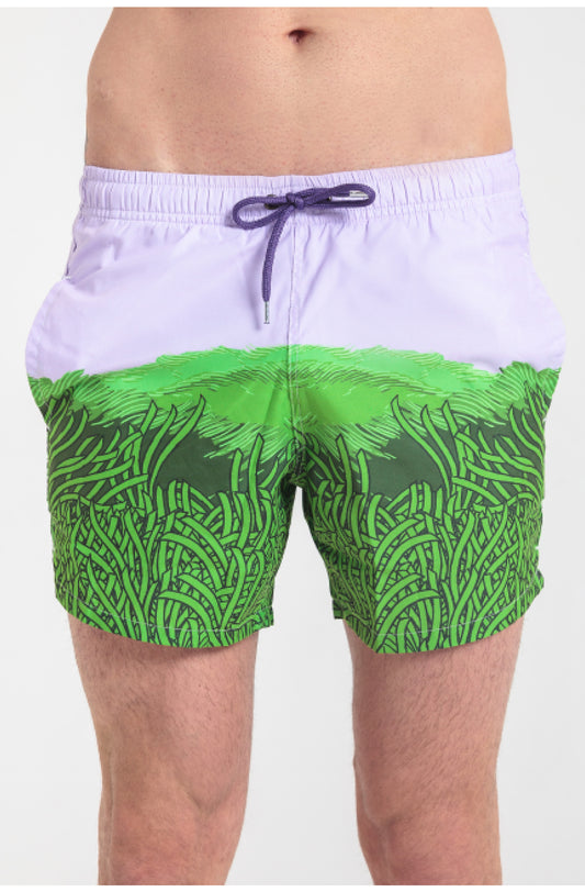 Barbaria Black Tip Posidonia Swimsuit